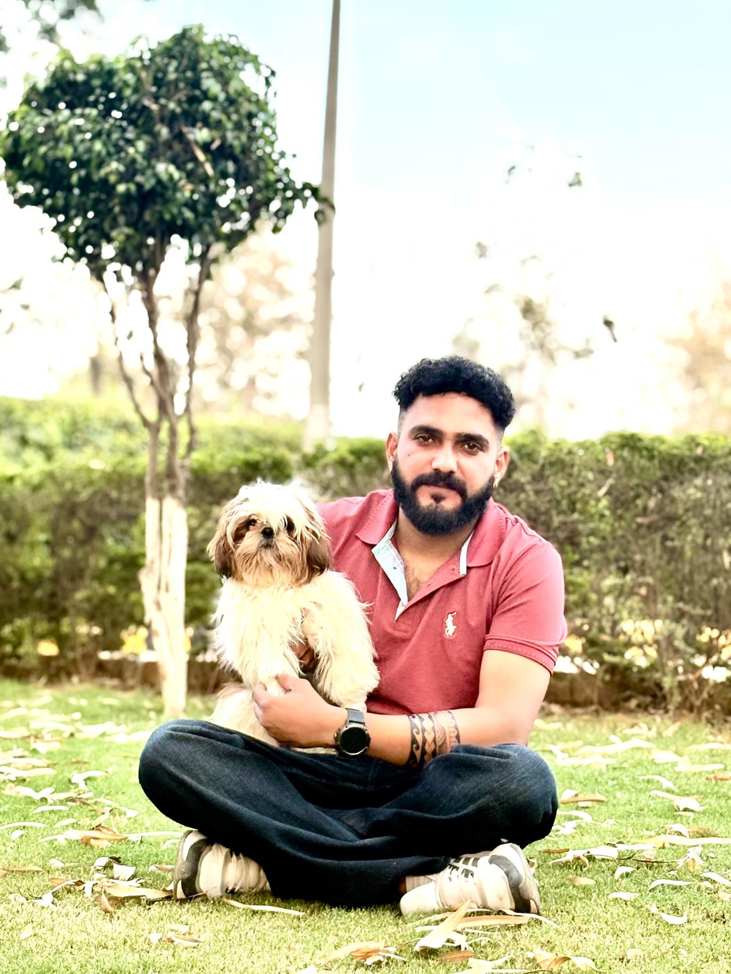 Sharma Dog Kennel breeder caring for a Shih Tzu